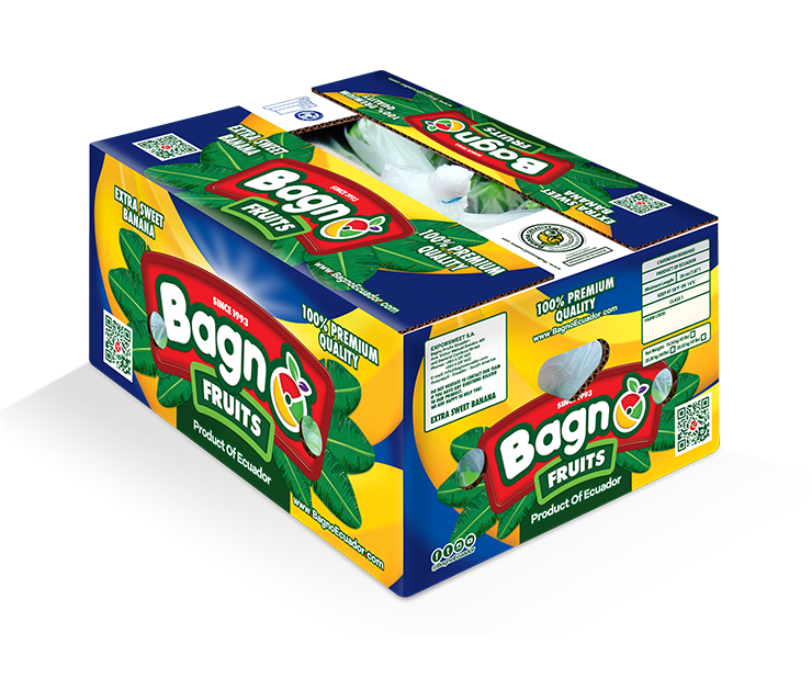 Blog One Image