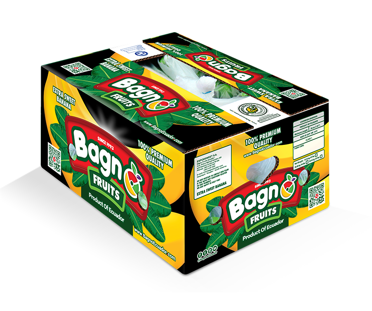 Blog One Image